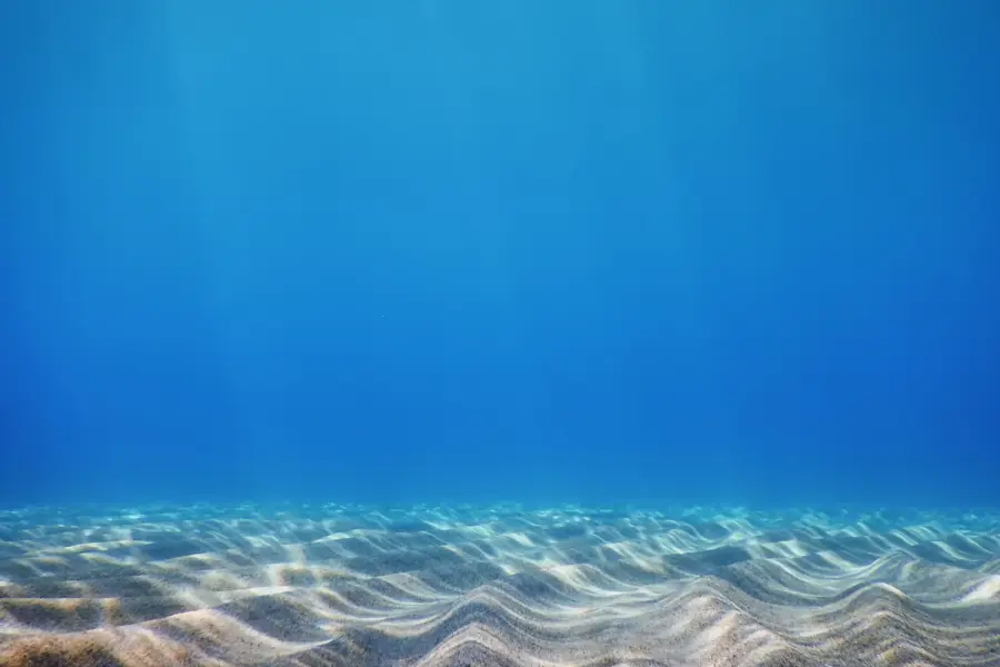 World ocean day