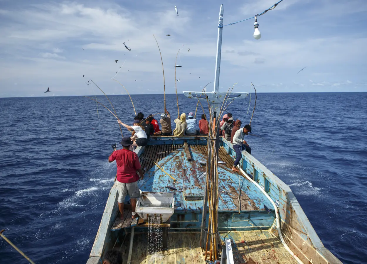 IMG 5813 1 6911d63116a44