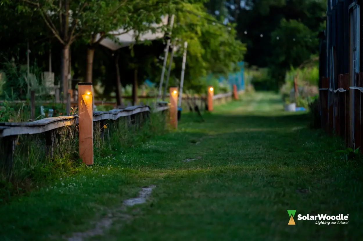 Solar Woodle kortom 14