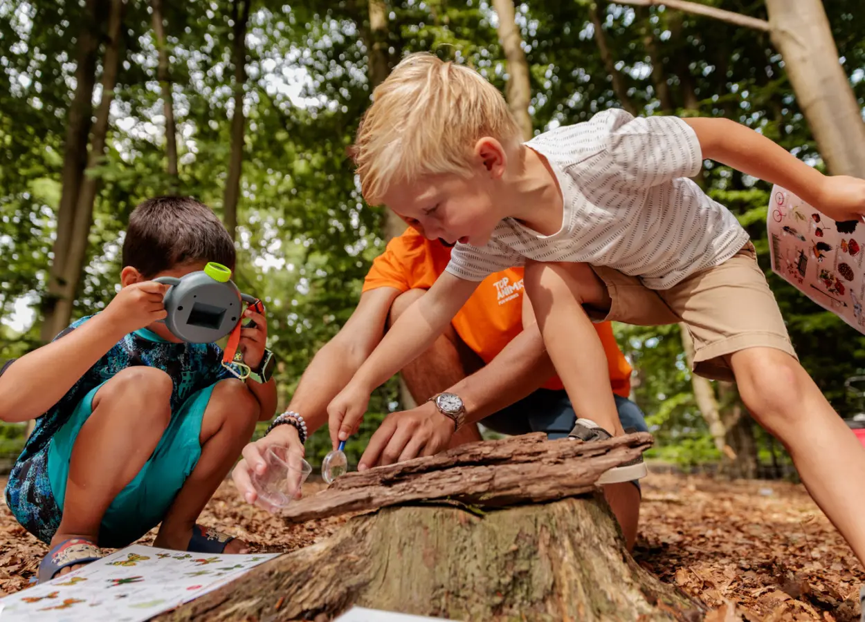 TOP Animation zomer 2025 168 selectie