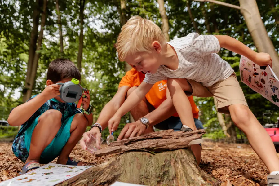 TOP Animation zomer 2025 168 selectie