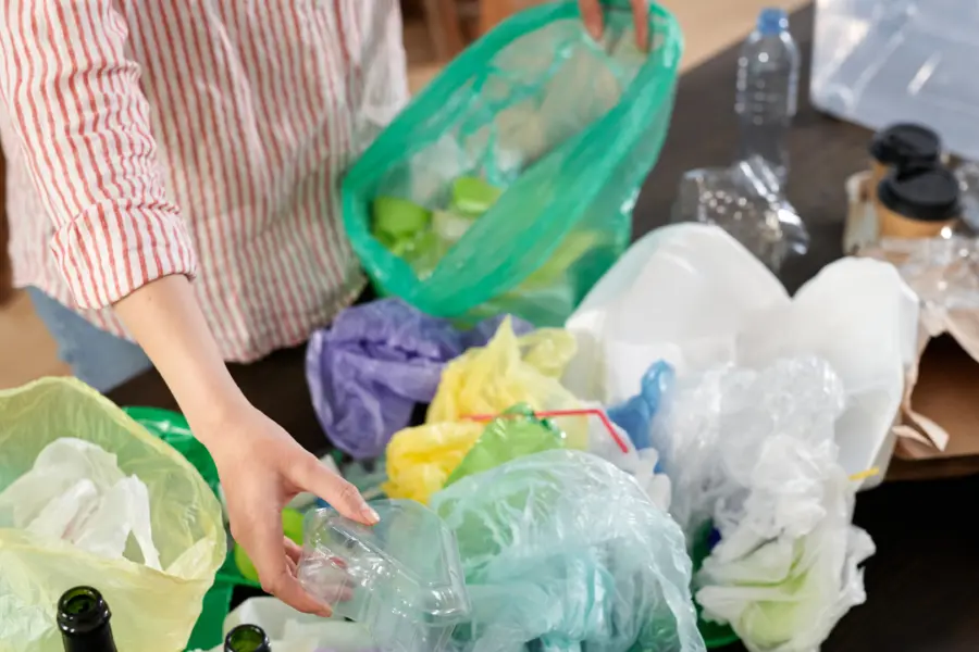 Plastic bag free day