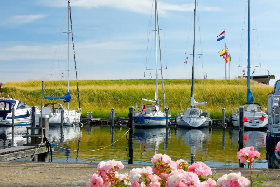 Natuurinclusief ondernemen Aan het water