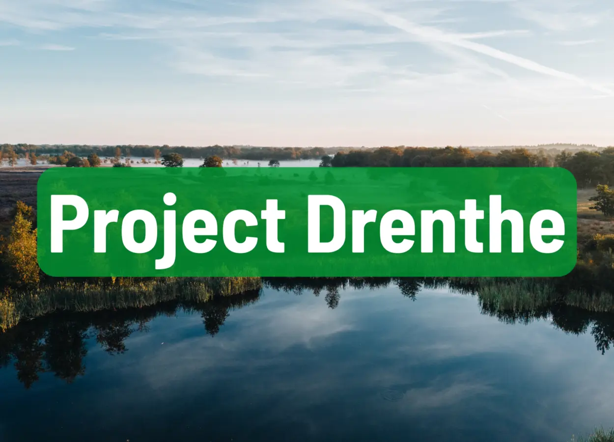 Projecten