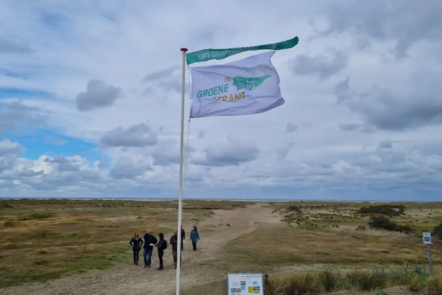 Groene strand wimpel